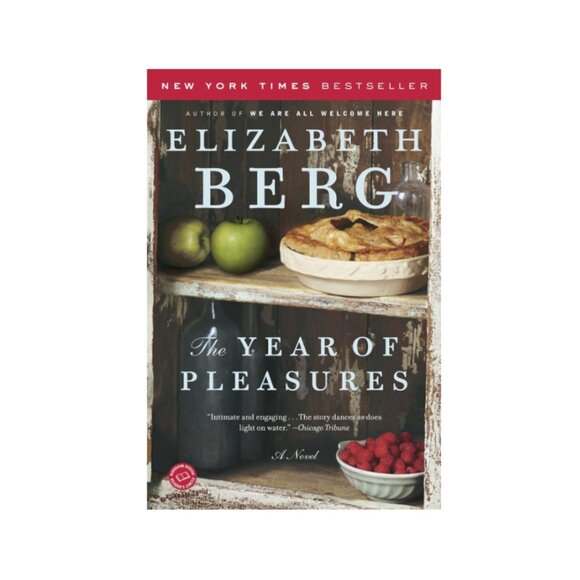 The Year of Pleasures by Elizabeth Berg Paperback 2006 - Picture 3 of 3